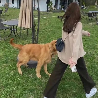 三个摩登女性